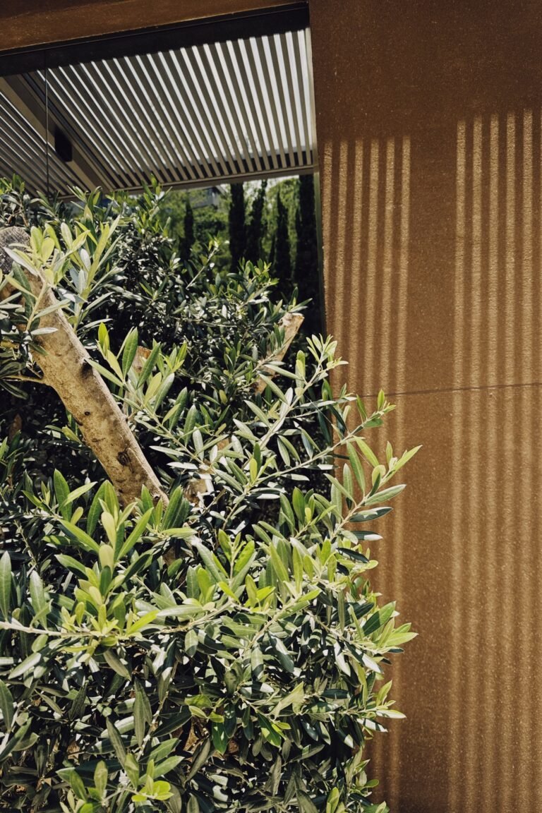 casa-reis-magos-detalhes-02